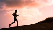 Pourquoi est-on plutôt sportif du matin ou du soir? Pourquoi est-on plutôt sportif du matin ou du soir?