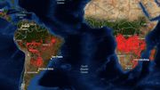 Il y a plus d'incendies en ce moment en Afrique subsaharienne qu'en Amazonie Il y a plus d'incendies en ce moment en Afrique subsaharienne qu'en Amazonie