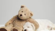 Décrypter les comportements étranges de nos chiens et chats Décrypter les comportements étranges de nos chiens et chats