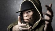 Kid Noize sort un nouveau single et vous propose des DJ set sur ses réseaux sociaux Kid Noize sort un nouveau single et vous propose des DJ set sur ses réseaux sociaux