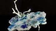 Les céramiques d'Ana-Belén Montero : la fragilité d’un équilibre naturel Les céramiques d'Ana-Belén Montero : la fragilité d’un équilibre naturel