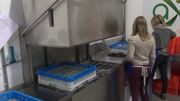 L'entreprise de travail adapté Axedis a fait l'acquisition d'une station de lavage, qui peut servir au nettoyage de consignes notamment L'entreprise de travail adapté Axedis a fait l'acquisition d'une station de lavage, qui peut servir au nettoyage de consignes notamment
