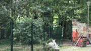 D'importants travaux de réaménagement du parc sont annoncés pour 2021 D'importants travaux de réaménagement du parc sont annoncés pour 2021