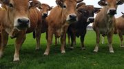 La Ferme qui Bouge La Ferme qui Bouge
