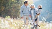 Les conseils pour une balade réussie avec son animal de compagnie Les conseils pour une balade réussie avec son animal de compagnie