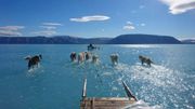 La photo de ces scientifiques danois traversant le fjord d’Inglefield (Bredning) avec leurs chiens les pieds dans l'eau, au nord-ouest du Groenland, le 13 juin 2019, avait fait le tour du monde, illustrant le réchauffement climatique. La photo de ces scientifiques danois traversant le fjord d’Inglefield (Bredning) avec leurs chiens les pieds dans l'eau, au nord-ouest du Groenland, le 13 juin 2019, avait fait le tour du monde, illustrant le réchauffement climatique.