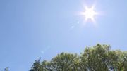 Malgré la chaleur, moins de pics d'ozone ces dernières années Malgré la chaleur, moins de pics d'ozone ces dernières années
