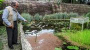 Le botaniste Alberto Gomez s'occupe, le 6 juillet 2020, de son jardin botanique à Quindio, où il est confiné depuis le mois de mars. Le botaniste Alberto Gomez s'occupe, le 6 juillet 2020, de son jardin botanique à Quindio, où il est confiné depuis le mois de mars.