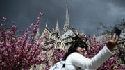 Notre Dame de Paris : "On n'avait pas besoin de ça", se désole le secteur du tourisme parisien Notre Dame de Paris : "On n'avait pas besoin de ça", se désole le secteur du tourisme parisien