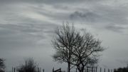 Météo de ce weekend : nuages, pluie et vent Météo de ce weekend : nuages, pluie et vent