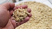 Dans la raffinerie de BioWanze Dans la raffinerie de BioWanze