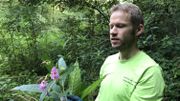 Frédéric Mouchet, coordinateur du contrat de rivière Haute-Meuse montre les fleurs et les capsules de la balsamine de l'Himalaya qui renferment des centaines de graines Frédéric Mouchet, coordinateur du contrat de rivière Haute-Meuse montre les fleurs et les capsules de la balsamine de l'Himalaya qui renferment des centaines de graines