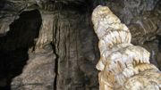Stalagmites, Columns and Draperies in Han Caverns, Belgium Stalagmites, Columns and Draperies in Han Caverns, Belgium