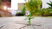 5 manières de se sentir en symbiose avec la nature, même en ville 5 manières de se sentir en symbiose avec la nature, même en ville