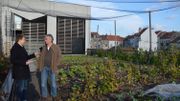 Belgodyssée : pour le troisième duo, une semaine de Toussaint aux couleurs de l'agriculture urbaine ! Belgodyssée : pour le troisième duo, une semaine de Toussaint aux couleurs de l'agriculture urbaine !