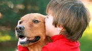 Doc Geo : Les animaux et notre santé ! Doc Geo : Les animaux et notre santé !