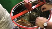 Les hausses sont placées dans la centrifugeuse, qui va extraire le miel Les hausses sont placées dans la centrifugeuse, qui va extraire le miel