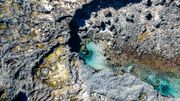 Régulièrement, Amandine et Thomas se ressourcent à "la pointe au sel", un site exceptionnel sur la côte ouest de l'île de La Réunion. Régulièrement, Amandine et Thomas se ressourcent à "la pointe au sel", un site exceptionnel sur la côte ouest de l'île de La Réunion.
