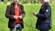 Au milieu d'une culture industrielle de chanvre Au milieu d'une culture industrielle de chanvre