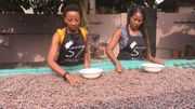 "Chez nous, le premier ingrédient est le cacao", revendique Kimerley. "Chez nous, le premier ingrédient est le cacao", revendique Kimerley.