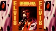 Magic Elvis – 12 : Les succès et les erreurs de Parker Magic Elvis – 12 : Les succès et les erreurs de Parker