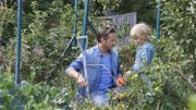 Optimiser son potager en y associant les bons légumes entre eux Optimiser son potager en y associant les bons légumes entre eux