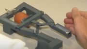 Le casse-oeuf fabriqué grâce à l'imprimante 3D. Le casse-oeuf fabriqué grâce à l'imprimante 3D.