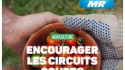 Transparence des publicités politiques: quel parti sponsorise le plus ses posts Facebook? Transparence des publicités politiques: quel parti sponsorise le plus ses posts Facebook?