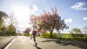 Les raisons scientifiques pour lesquelles le printemps est la meilleure saison Les raisons scientifiques pour lesquelles le printemps est la meilleure saison