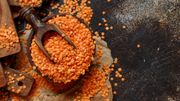 Des lentilles corail Des lentilles corail