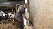 Un diplôme d’électricien en poche, Tanguy se tourne tout de même vers le métier d’agriculteur Un diplôme d’électricien en poche, Tanguy se tourne tout de même vers le métier d’agriculteur