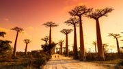 Direction Madagascar avec le visa électronique Direction Madagascar avec le visa électronique