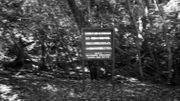 "La vie est une chose précieuse donnée par les parents", panneau de mise en garde à l'entrée de la forêt de Aokigahara, connue comme le "bois des suicidés" depuis les années 1970 et rendu célèbre par des romans et séries télé populaires "La vie est une chose précieuse donnée par les parents", panneau de mise en garde à l'entrée de la forêt de Aokigahara, connue comme le "bois des suicidés" depuis les années 1970 et rendu célèbre par des romans et séries télé populaires