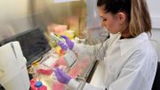 Coronavirus en Belgique ce 14 août : la hausse des nouveaux cas ralentit mais celle des décès s'accélère Coronavirus en Belgique ce 14 août : la hausse des nouveaux cas ralentit mais celle des décès s'accélère