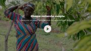 https://www.ecosia.org/ https://www.ecosia.org/