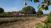 Cap sur la Provence ce samedi dans Grandeur Nature Cap sur la Provence ce samedi dans Grandeur Nature
