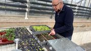 Réussir ses premiers semis : des conseils pour ne pas se planter Réussir ses premiers semis : des conseils pour ne pas se planter