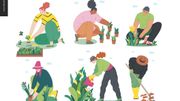 Jardinage : que faire en mai, après les Saints de Glace ? Jardinage : que faire en mai, après les Saints de Glace ?