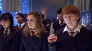 En voilà deux qui sont vénères ! En voilà deux qui sont vénères !