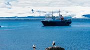 L’Antarctique, 14 millions de km2, le plus grand désert du monde, un désert glacé et polaire. Le territoire le plus vierge de la planète. L’Antarctique, 14 millions de km2, le plus grand désert du monde, un désert glacé et polaire. Le territoire le plus vierge de la planète.