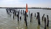 Venise veut reconquérir sa lagune Venise veut reconquérir sa lagune
