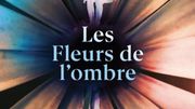 Tatiana de Rosnay : "Je suis un peu le cauchemar des traducteurs" Tatiana de Rosnay : "Je suis un peu le cauchemar des traducteurs"