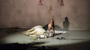 Audrey Bonnet dans "Jeanne d'Arc au bûcher" (Honegger/Claudel) mise en scène de Romeo Castellucci Audrey Bonnet dans "Jeanne d'Arc au bûcher" (Honegger/Claudel) mise en scène de Romeo Castellucci