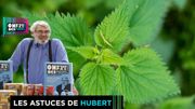 L'ortie: plante inconnue aux vertus insoupçonnables L'ortie: plante inconnue aux vertus insoupçonnables