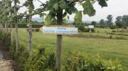 Le centre de compétence détient une serre connectée pour l'apprentissage du Smart Farming Le centre de compétence détient une serre connectée pour l'apprentissage du Smart Farming