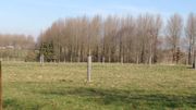 "Terre en vue": petits agriculteurs cherchent hectares désespérément "Terre en vue": petits agriculteurs cherchent hectares désespérément