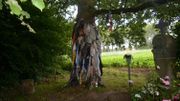 L'arbre à clous d'Herchies, un remède contre les problèmes de peau L'arbre à clous d'Herchies, un remède contre les problèmes de peau