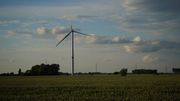 La société Eneco a présenté mercredi à Wavre un système développé par GreenWatch, qui permet d'éteindre à distance le balisage lumineux des éoliennes. Il s'agit d'une solution hardware et software qui permet à la fois de répondre aux exigences de sécurité de la Défense - les feux lumineux signalent la présence d'éoliennes aux pilotes de l'armée lors des entrainements et des interventions - et de limiter la pollution lumineuse. La société Eneco a présenté mercredi à Wavre un système développé par GreenWatch, qui permet d'éteindre à distance le balisage lumineux des éoliennes. Il s'agit d'une solution hardware et software qui permet à la fois de répondre aux exigences de sécurité de la Défense - les feux lumineux signalent la présence d'éoliennes aux pilotes de l'armée lors des entrainements et des interventions - et de limiter la pollution lumineuse.