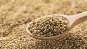 Graines de sésame : alerte à l'oxyde d'éthylène Graines de sésame : alerte à l'oxyde d'éthylène