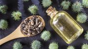 Révélez la lionne qui est en vous: les soins naturels pour épaissir vos cheveux Révélez la lionne qui est en vous: les soins naturels pour épaissir vos cheveux